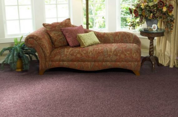 Carpet Carpet