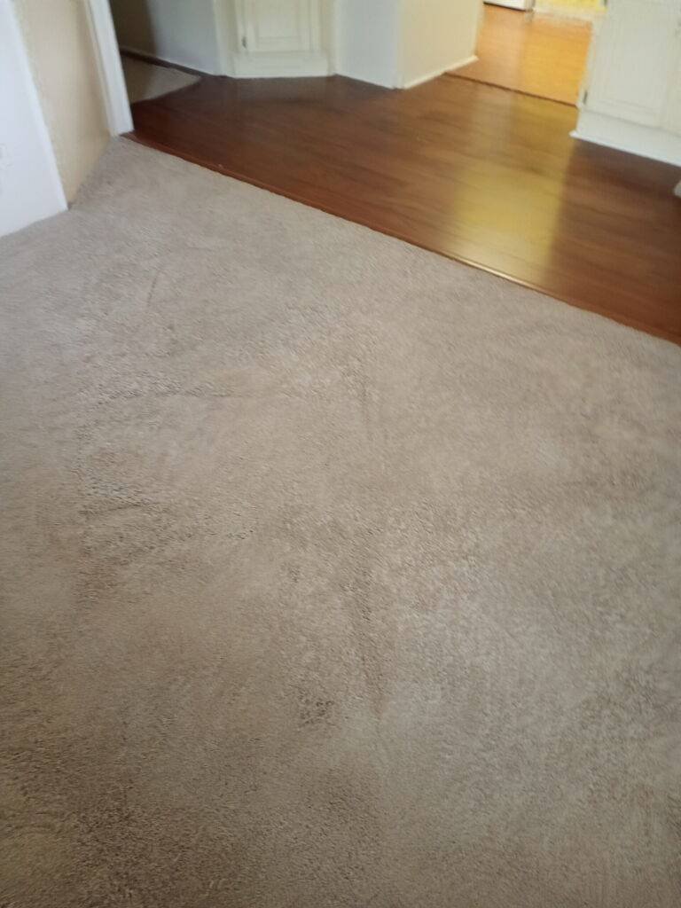 Glue Down Carpet